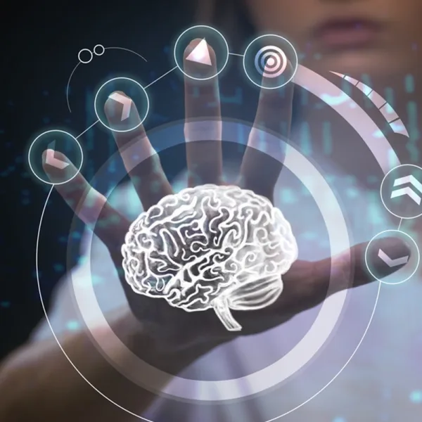 Caripe & Barrios Neurociencia del Cumplimiento